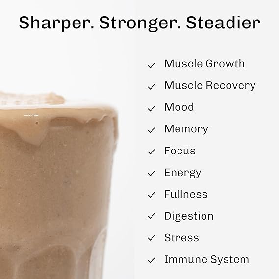 Mushroom Protein Powder Vanilla (15 Servings) | Adaptogenic Vegan Protein | Plant - Based Superfood Protein Blend